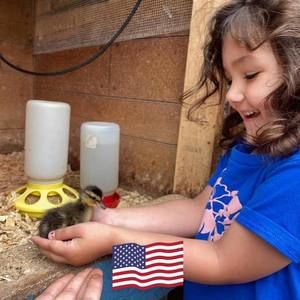 Meet your Posher, Leslie